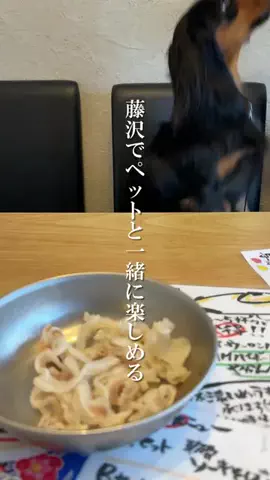 ジモハック湘南@湘南おすすめグルメ観光情報発信！のTikTok投稿