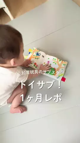 ちぴままのTikTok投稿