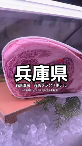 1QUESTION / JAPANのTikTok投稿