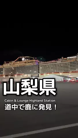 1QUESTION / JAPANのTikTok投稿