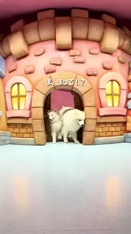hana_no_odekakeのTikTok投稿