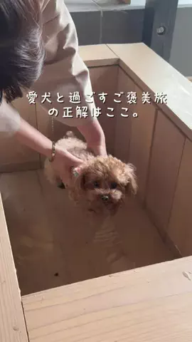 旅するめぐも✈️のTikTok投稿