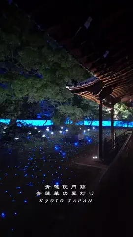 hiro_trip_filmのTikTok投稿