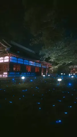 🌟ななえ🌟/エモい風景を撮る人のTikTok投稿