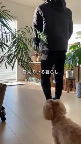 alo.lifestyle18のTikTok投稿