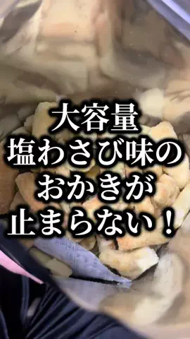 毒チワワのTikTok投稿
