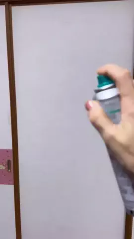 つぶみちゃんのTikTok投稿