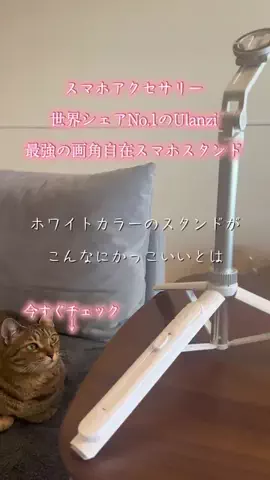 🐈もずあずちゃんねる🐈のTikTok投稿