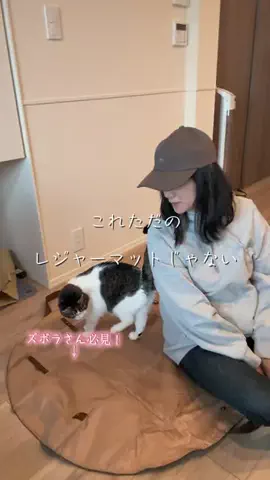 🐈もずあずちゃんねる🐈のTikTok投稿