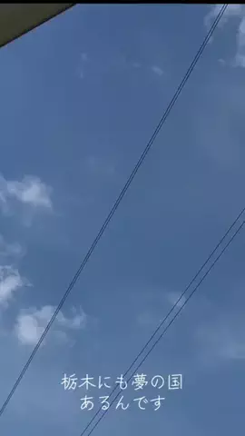 茨城と栃木の県境に住んでいますのTikTok投稿
