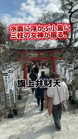 茨城と栃木の県境に住んでいますのTikTok投稿