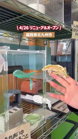 うお | 福岡のTikTok投稿