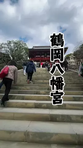 茨城と栃木の県境に住んでいますのTikTok投稿