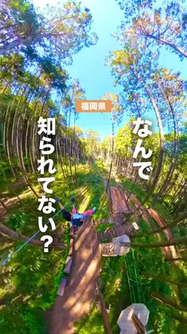 うお | 福岡のTikTok投稿