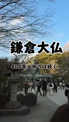 茨城と栃木の県境に住んでいますのTikTok投稿