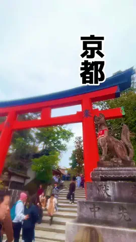 茨城と栃木の県境に住んでいますのTikTok投稿