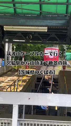 茨城と栃木の県境に住んでいますのTikTok投稿