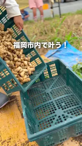 うお | 福岡のTikTok投稿