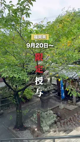 うお | 福岡のTikTok投稿