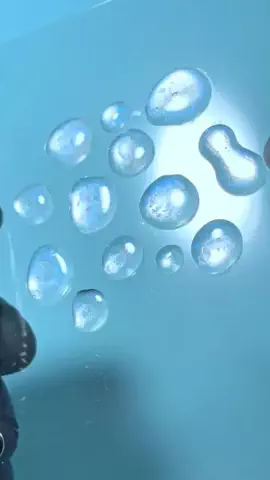 わん🐶のTikTok投稿