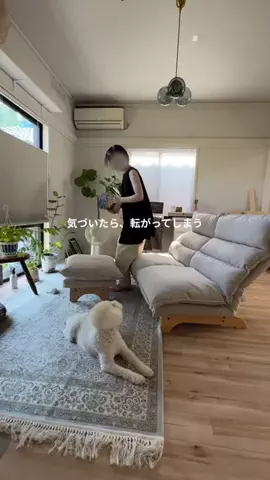 こゆ⌇築30年をパリのアパルトマン風にのTikTok投稿