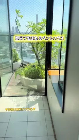 🦋👾ごんちゃん👾🦋のTikTok投稿