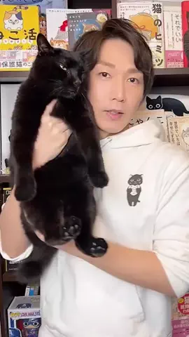 猫の先生＠タケのTikTok投稿
