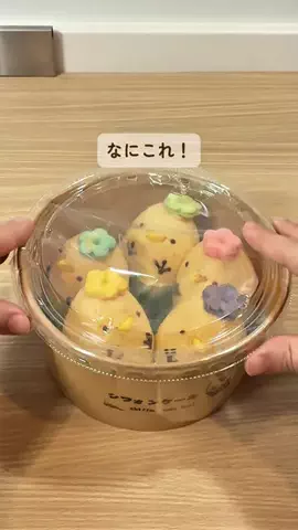 みみのTikTok投稿