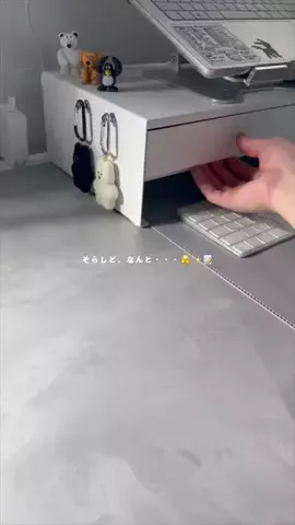 そらしどのTikTok投稿