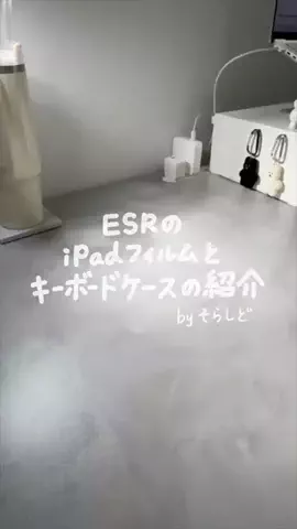 そらしどのTikTok投稿