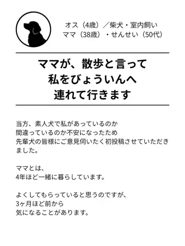 都内のチワワのTikTok投稿