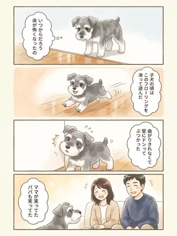 都内のチワワのTikTok投稿