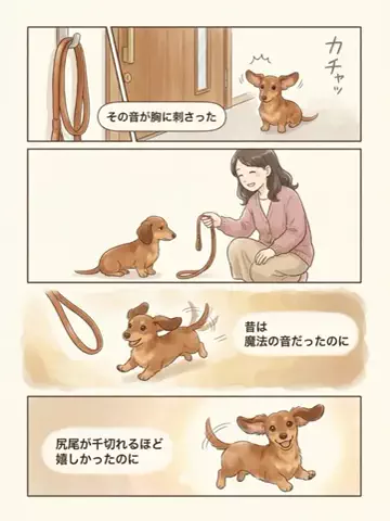 都内のチワワのTikTok投稿