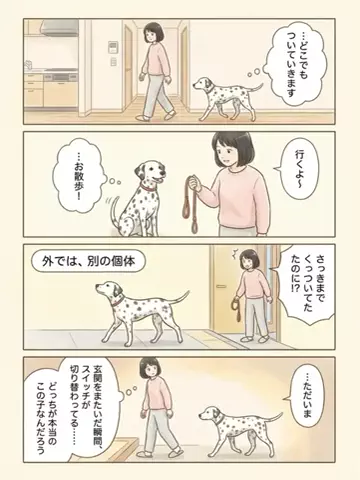 都内のチワワのTikTok投稿