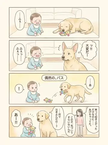 都内のチワワのTikTok投稿