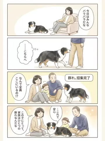 都内のチワワのTikTok投稿