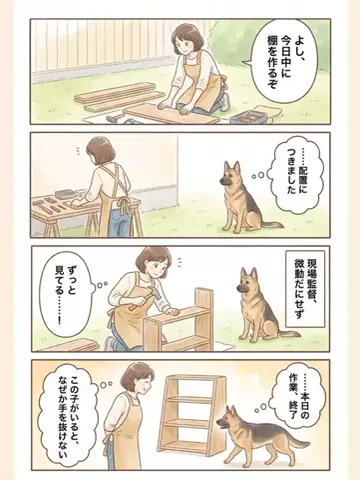 都内のチワワのTikTok投稿