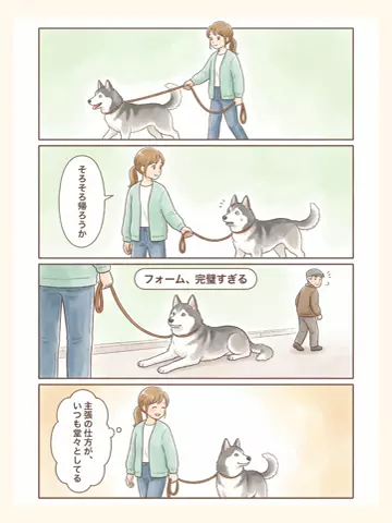 都内のチワワのTikTok投稿