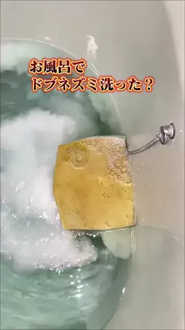 ぴちこ|賢くラクするズボラの暮らしのTikTok投稿