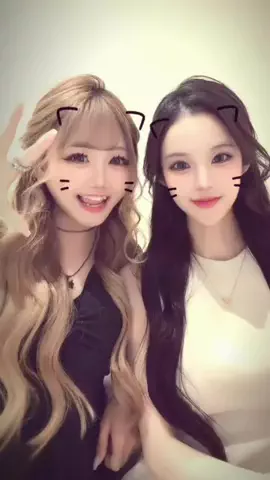 だヨのTikTok投稿