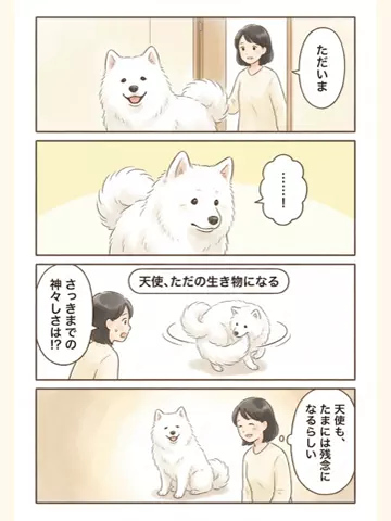 都内のチワワのTikTok投稿
