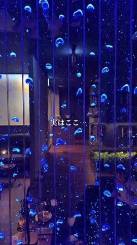 愛知おでかけ日記のTikTok投稿