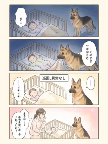 都内のチワワのTikTok投稿