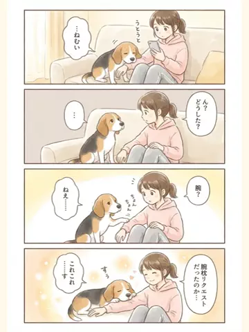 都内のチワワのTikTok投稿