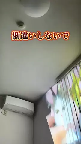 ぴちこ|賢くラクするズボラの暮らしのTikTok投稿