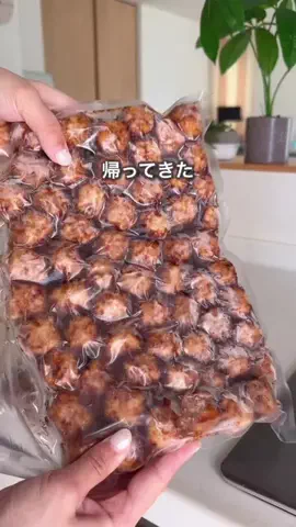 ハレ弁のTikTok投稿