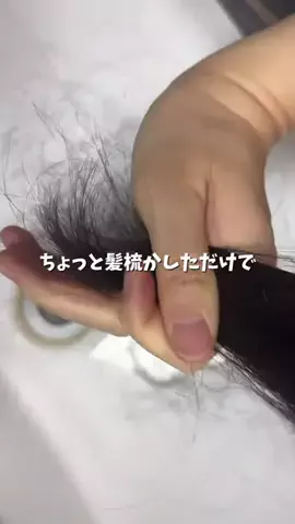 れな🕊️のTikTok投稿