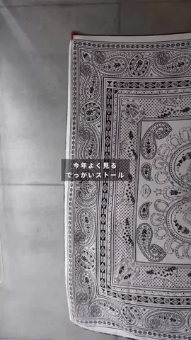 omasuのTikTok投稿