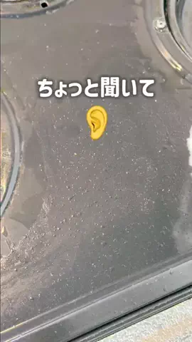 キウイ🥝のTikTok投稿