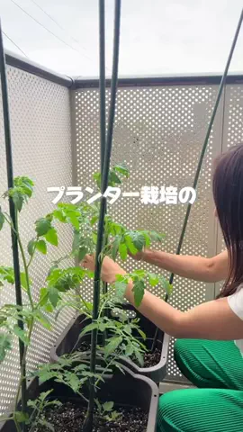ちいのTikTok投稿
